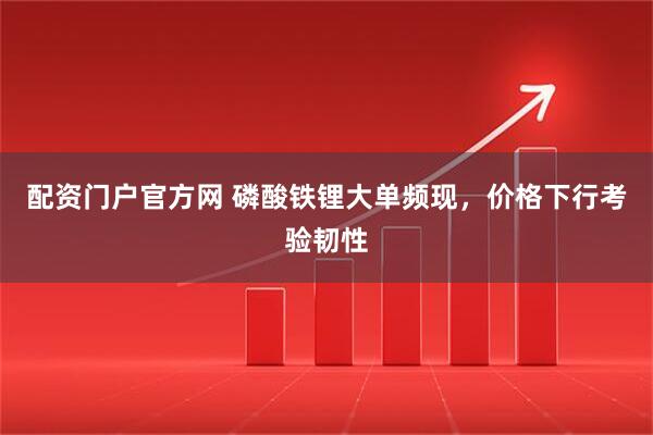 配资门户官方网 磷酸铁锂大单频现，价格下行考验韧性